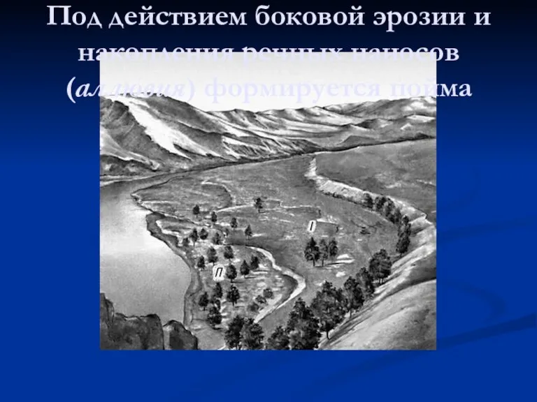 Под действием боковой эрозии и накопления речных наносов (аллювия) формируется пойма