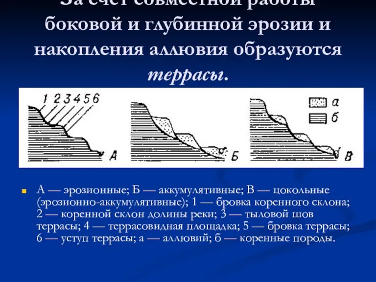 За счет совместной работы боковой и глубинной эрозии и накопления аллювия образуются террасы.