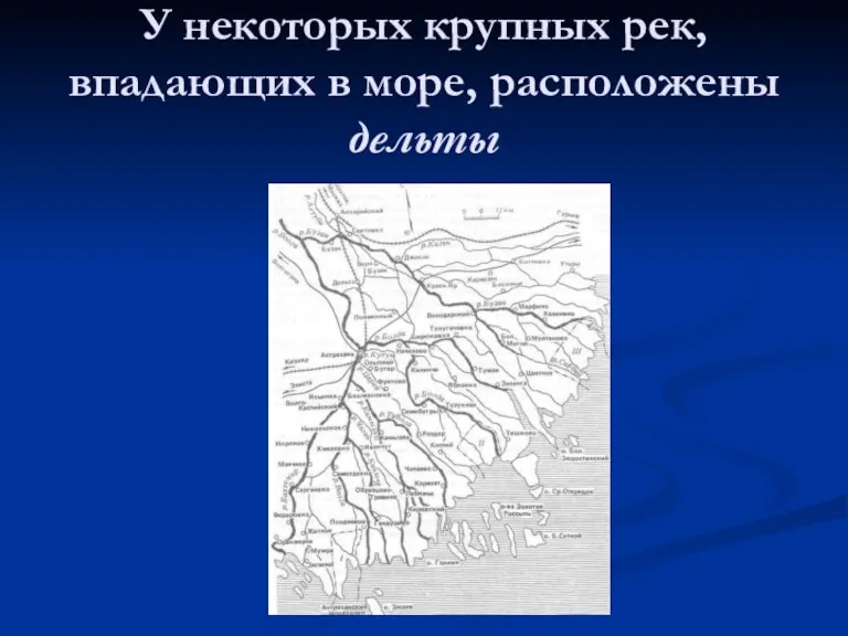 У некоторых крупных рек, впадающих в море, расположены дельты