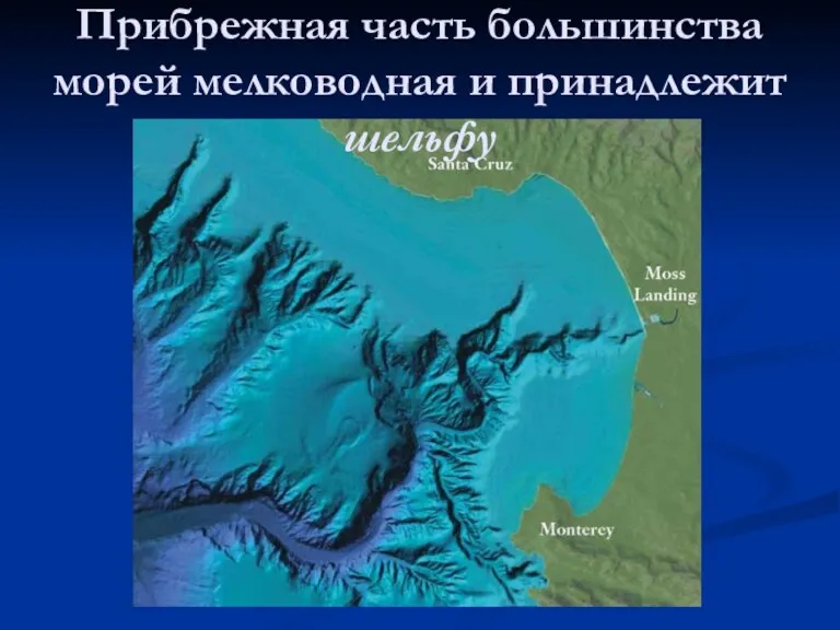 Прибрежная часть большинства морей мелководная и принадлежит шельфу