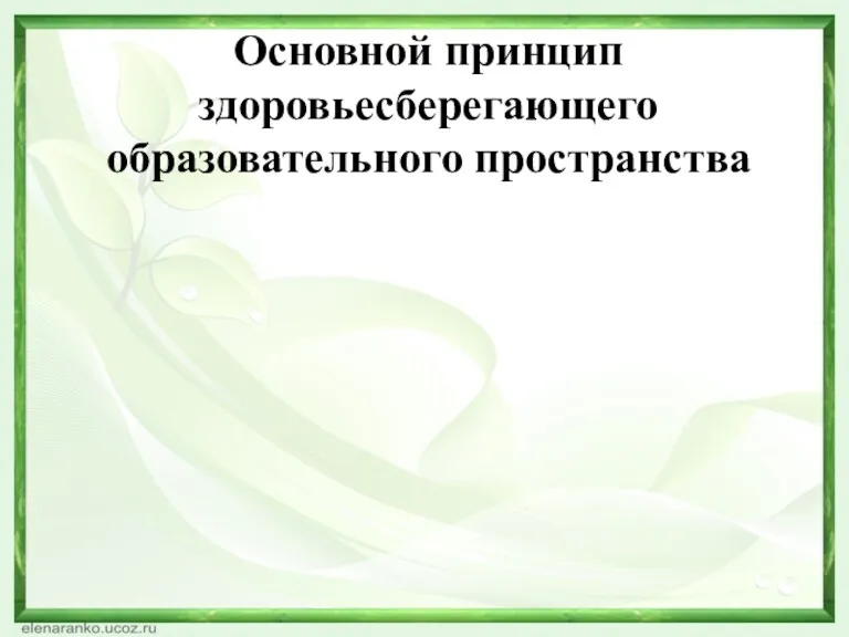 Основной принцип здоровьесберегающего образовательного пространства