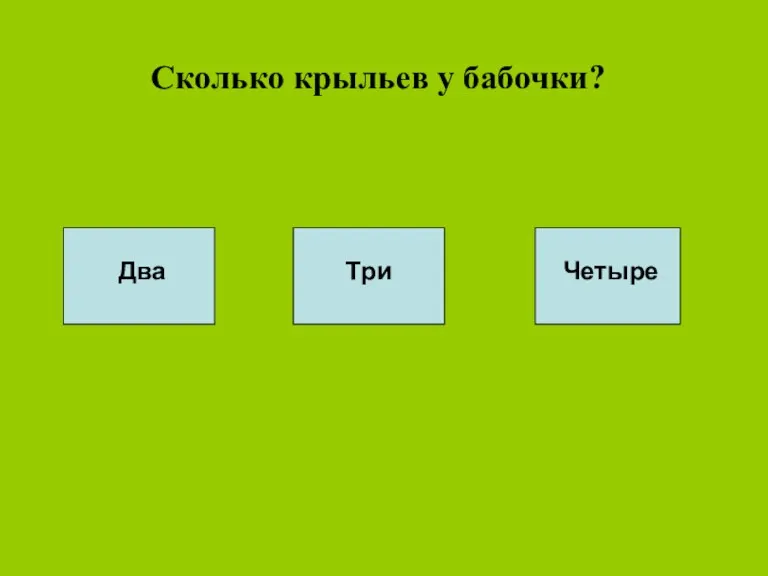 Сколько крыльев у бабочки? Два Три Четыре