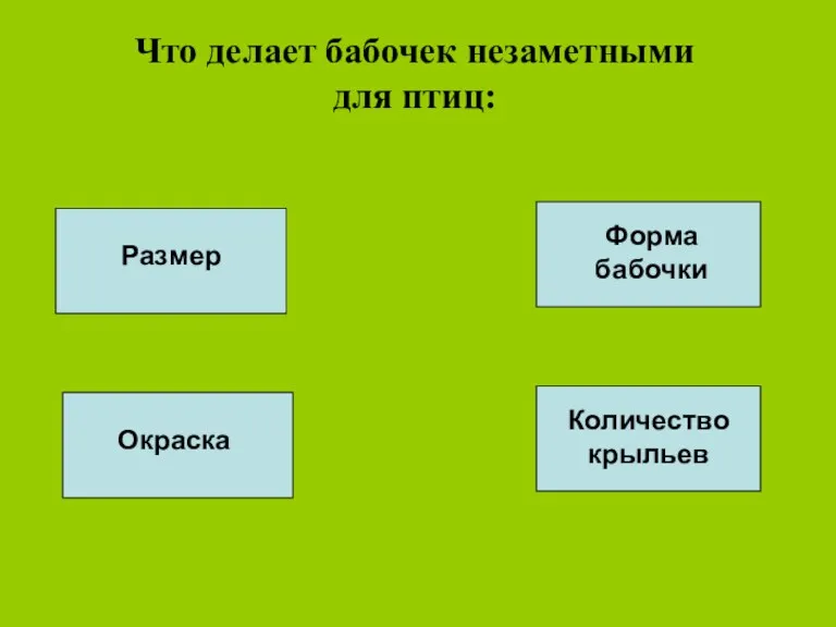 Что делает бабочек незаметными для птиц: Окраска Размер Форма бабочки Количество крыльев