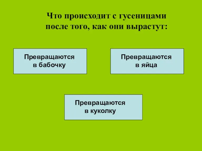 Что происходит с гусеницами после того, как они вырастут: Превращаются