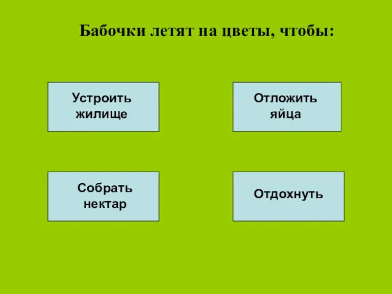 Бабочки летят на цветы, чтобы: Собрать нектар Устроить жилище Отложить яйца Отдохнуть