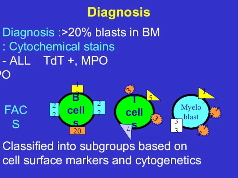 Diagnosis Diagnosis :>20% blasts in BM Cytochemical stains : ALL TdT +, MPO