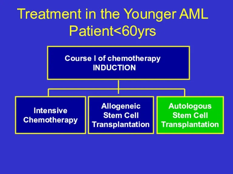 Treatment in the Younger AML Patient Course I of chemotherapy INDUCTION Intensive Chemotherapy