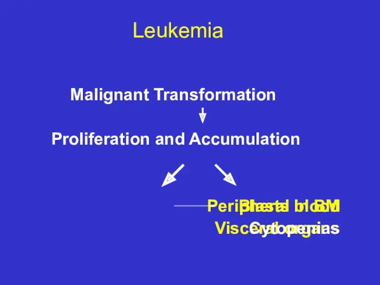 Leukemia Malignant Transformation Proliferation and Accumulation Peripheral blood Blasts in BM Visceral organs Cytopenias