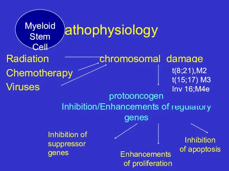 Pathophysiology Radiation chromosomal damage Chemotherapy Viruses protooncogen Inhibition/Enhancements of regulatory genes Inhibition of