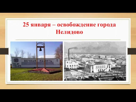 25 января – освобождение города Нелидово