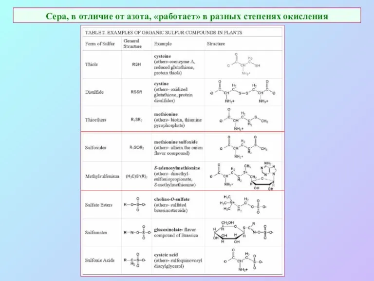 Сера, в отличие от азота, «работает» в разных степенях окисления
