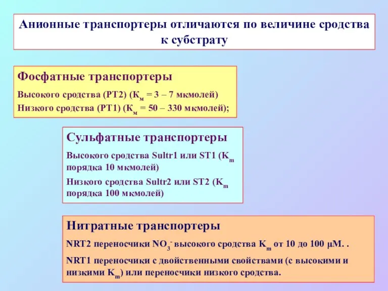 Сульфатные транспортеры Высокого сродства Sultr1 или ST1 (Km порядка 10