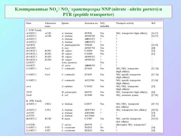 Клонированные NO3-/ NO2- транспортеры NNP (nitrate –nitrite porters) и PTR (peptide transporter)