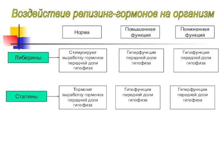 Либерины Статины Норма Повышенная функция Пониженная функция Стимулируют выработку гормонов