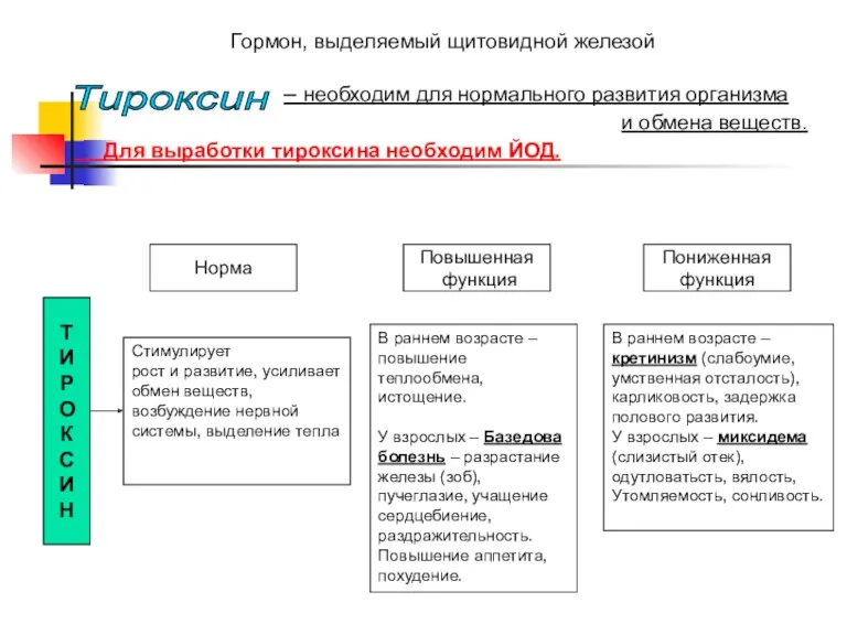 Гормон, выделяемый щитовидной железой – необходим для нормального развития организма