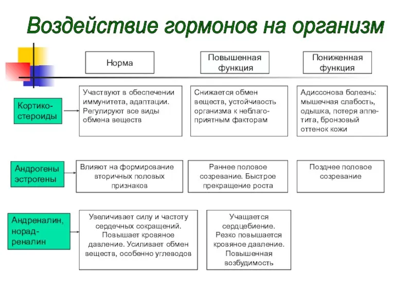 Норма Повышенная функция Пониженная функция Кортико- стероиды Участвуют в обеспечении