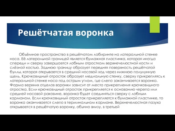 Решётчатая воронка Объёмное пространство в решётчатом лабиринте на латеральной стенке