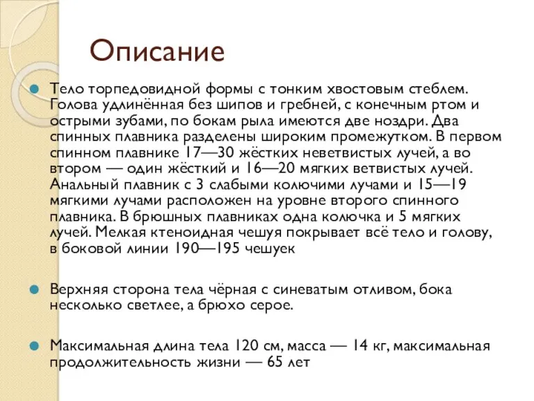 Описание Тело торпедовидной формы с тонким хвостовым стеблем. Голова удлинённая