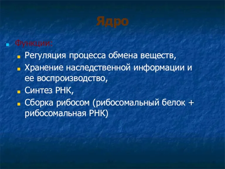 Ядро Функции: Регуляция процесса обмена веществ, Хранение наследственной информации и