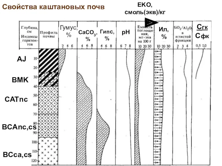 Свойства каштановых почв pH Гумус, % CaCO3, % EKO, смоль(экв)/кг