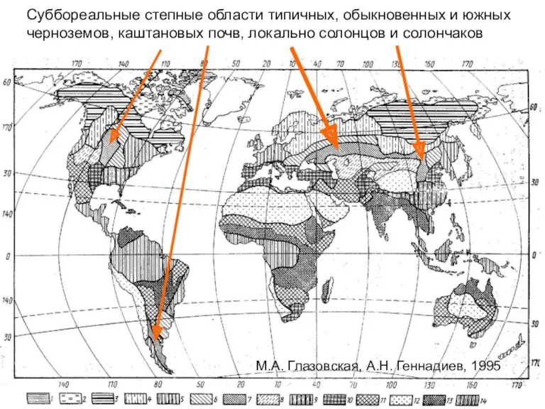 Суббореальные степные области типичных, обыкновенных и южных черноземов, каштановых почв,