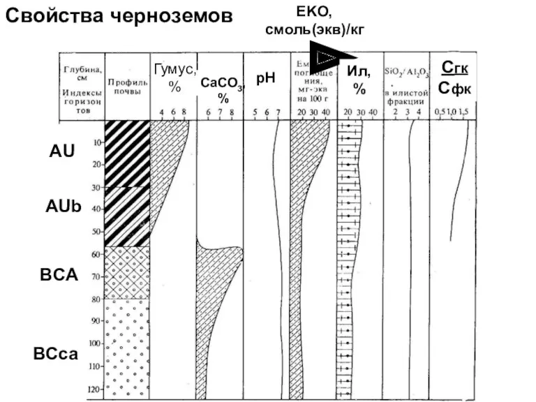 Свойства черноземов pH Гумус, % CaCO3, % EKO, смоль(экв)/кг Ил,