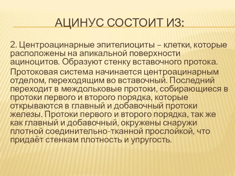 АЦИНУС СОСТОИТ ИЗ: 2. Центроацинарные эпителиоциты – клетки, которые расположены