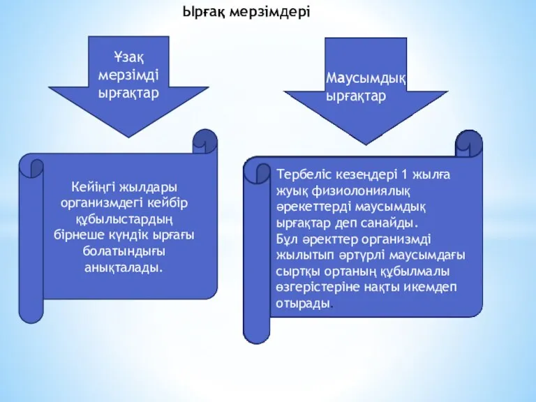 Ырғақ мерзімдері Кейіңгі жылдары организмдегі кейбір құбылыстардың бірнеше күндік ырғағы болатындығы анықталады. Ұзақ