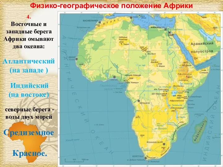 Физико-географическое положение Африки 4. Восточные и западные берега Африки омывают