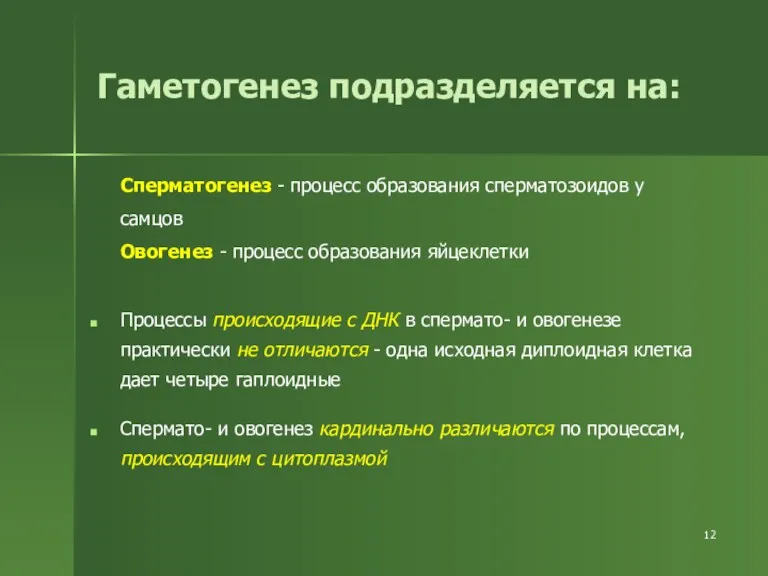 Сперматогенез - процесс образования сперматозоидов у самцов Овогенез - процесс