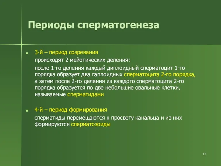 Периоды сперматогенеза 3-й – период созревания происходят 2 мейотических деления: