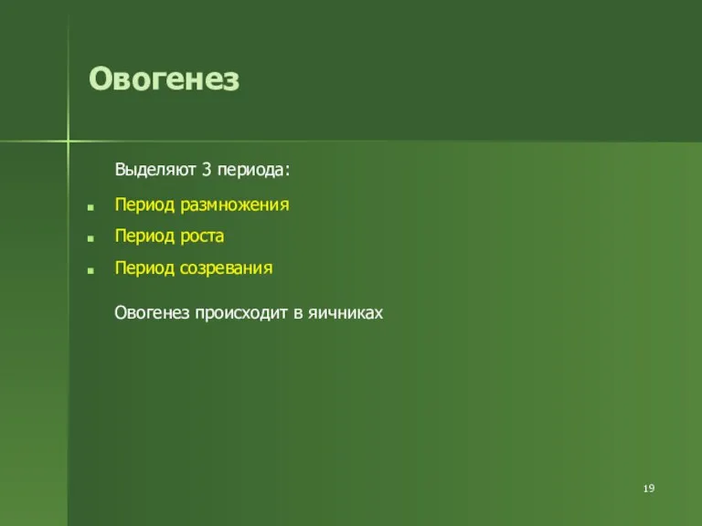 Овогенез Выделяют 3 периода: Период размножения Период роста Период созревания Овогенез происходит в яичниках