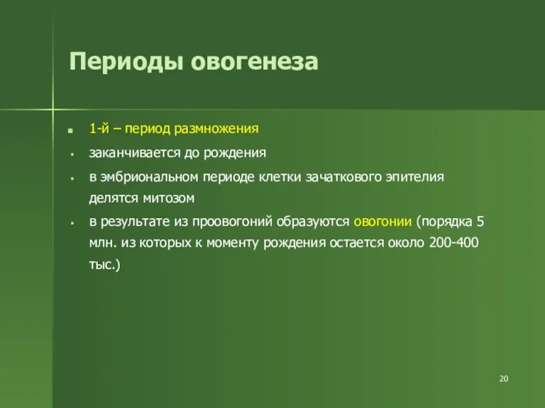 Периоды овогенеза 1-й – период размножения заканчивается до рождения в