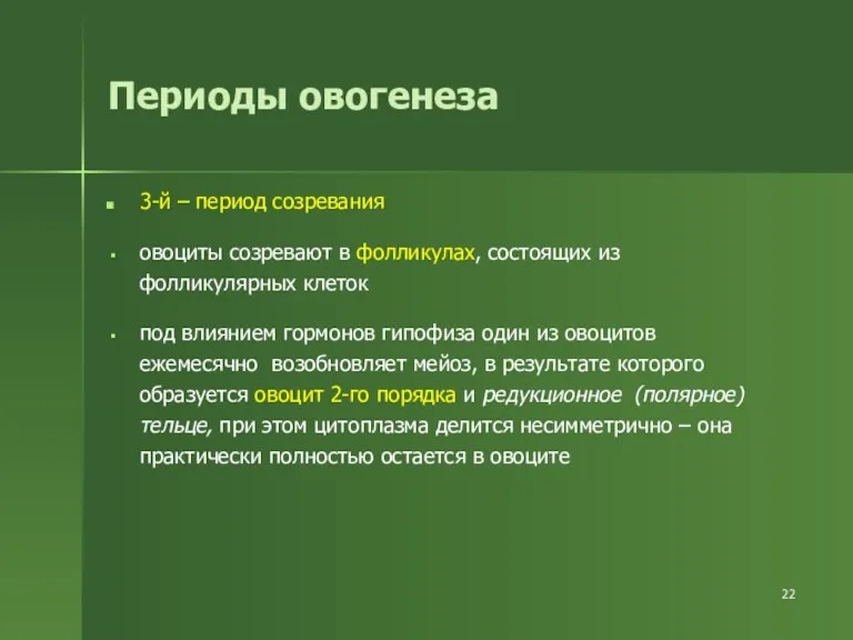 Периоды овогенеза 3-й – период созревания овоциты созревают в фолликулах,