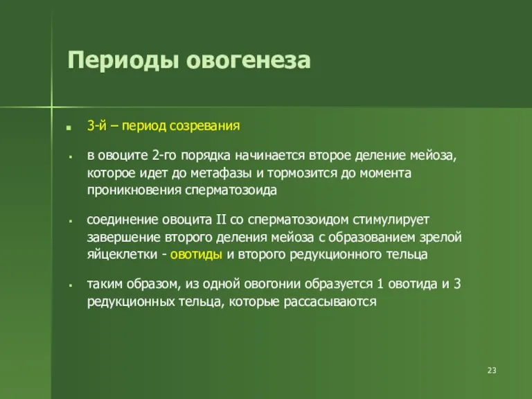 Периоды овогенеза 3-й – период созревания в овоците 2-го порядка