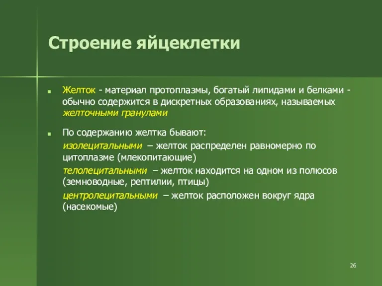 Строение яйцеклетки Желток - материал протоплазмы, богатый липидами и белками