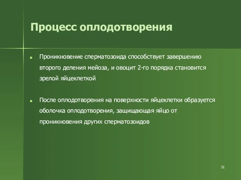 Процесс оплодотворения Проникновение сперматозоида способствует завершению второго деления мейоза, и