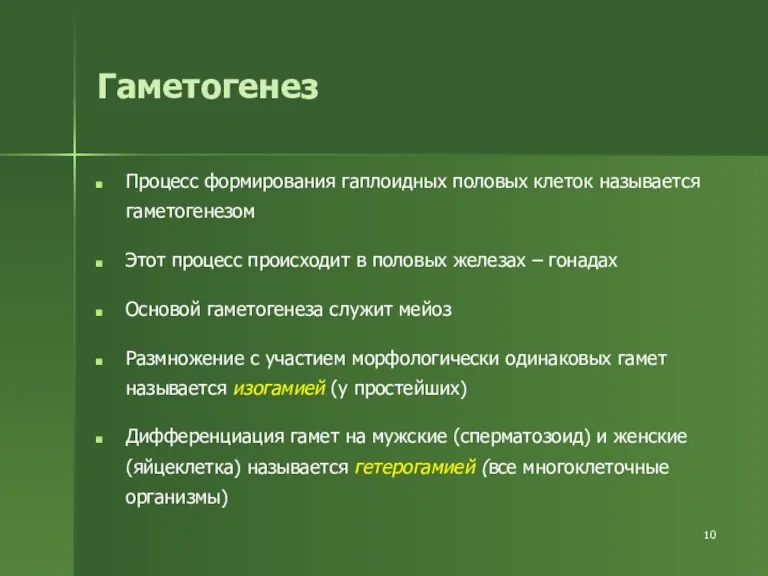 Гаметогенез Процесс формирования гаплоидных половых клеток называется гаметогенезом Этот процесс