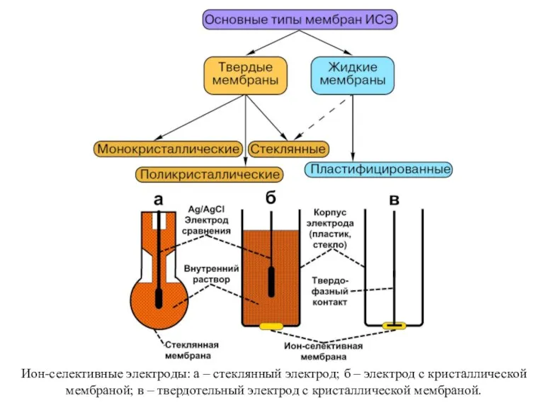 Ион-селективные электроды: а – стеклянный электрод; б – электрод с