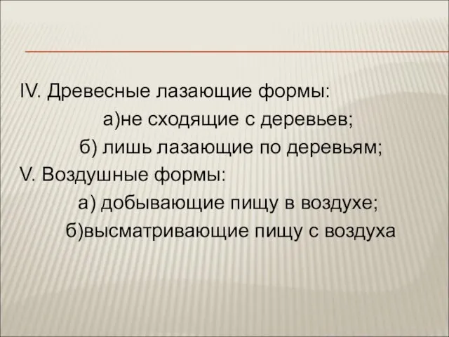 IV. Древесные лазающие формы: а)не сходящие с деревьев; б) лишь