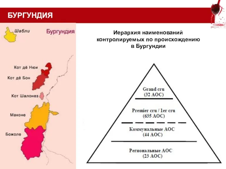 БУРГУНДИЯ Иерархия наименований контролируемых по происхождению в Бургундии