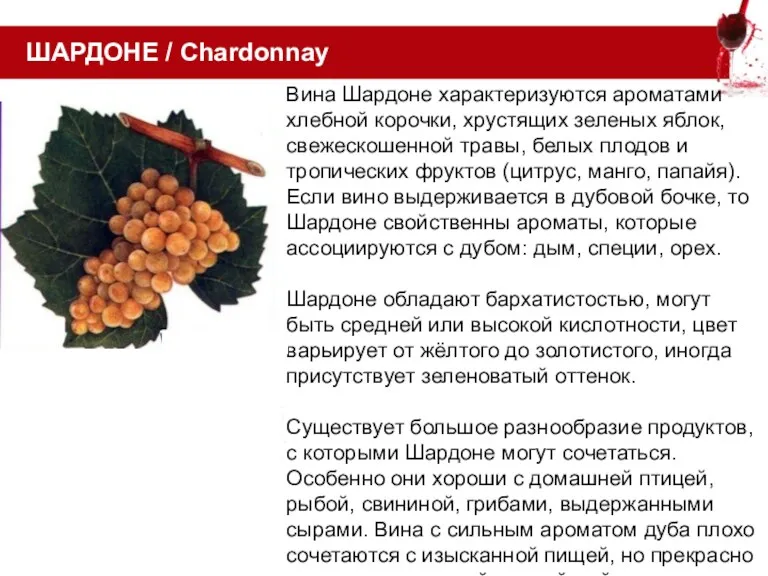 ШАРДОНЕ / Chardonnay Вина Шардоне характеризуются ароматами хлебной корочки, хрустящих