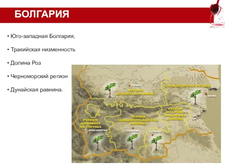 БОЛГАРИЯ Юго-западная Болгария, Тракийская низменность Долина Роз Черноморский регион Дунайская равнина.