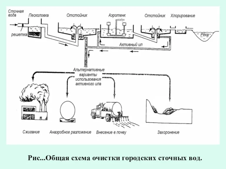 Рис...Общая схема очистки городских сточных вод.