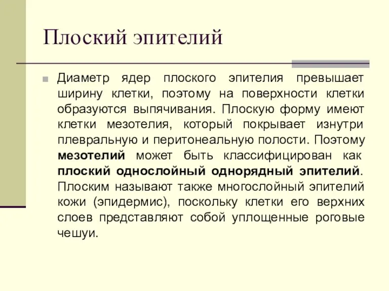 Плоский эпителий Диаметр ядер плоского эпителия превышает ширину клетки, поэтому на поверхности клетки