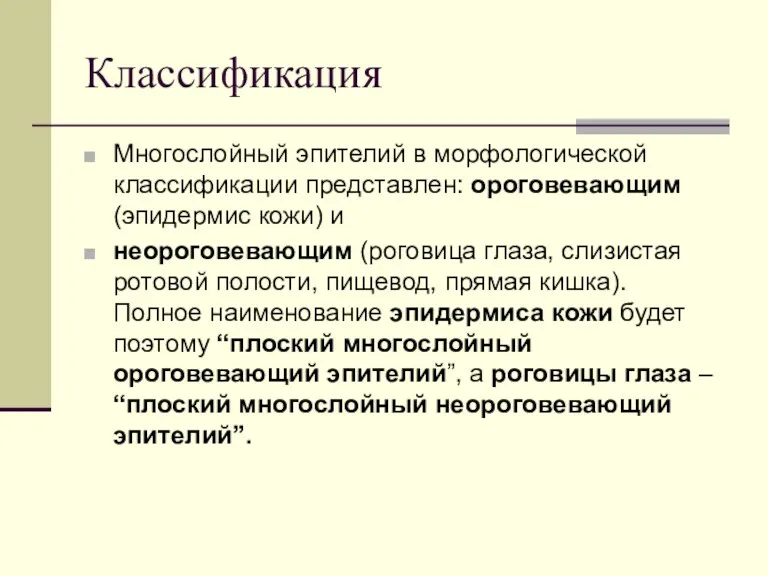 Классификация Многослойный эпителий в морфологической классификации представлен: ороговевающим (эпидермис кожи) и неороговевающим (роговица