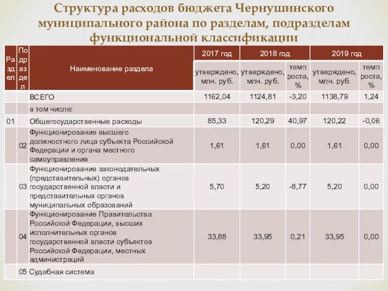 Структура расходов бюджета Чернушинского муниципального района по разделам, подразделам функциональной классификации