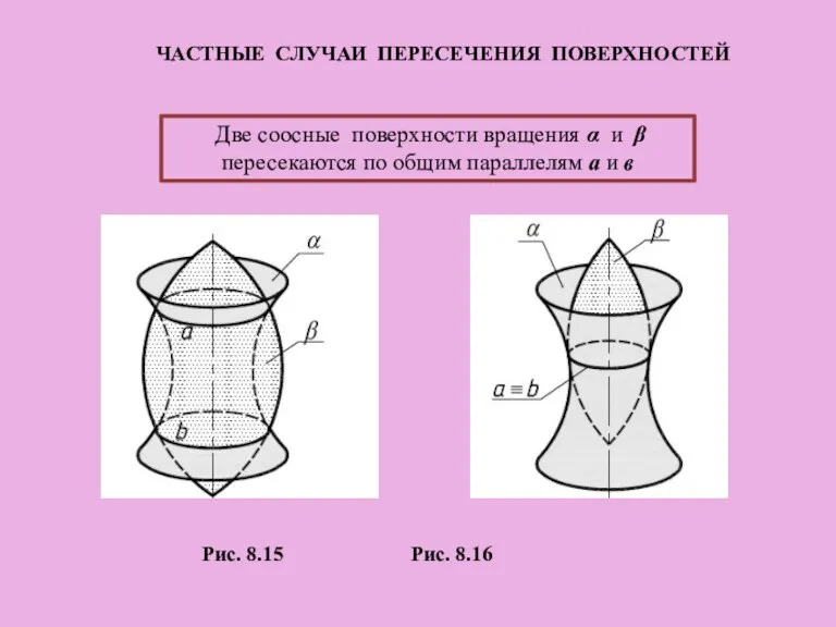 Две соосные поверхности вращения α и β пересекаются по общим