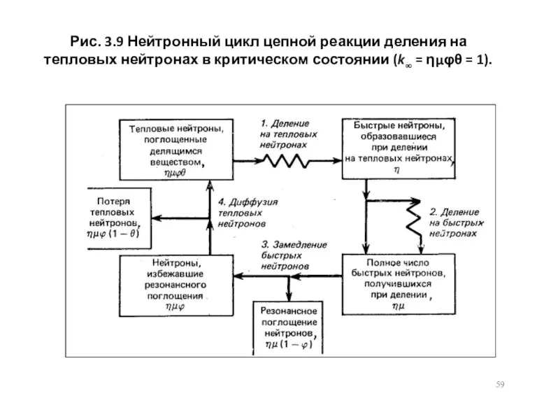 Рис. 3.9 Нейтронный цикл цепной реакции деления на тепловых нейтронах