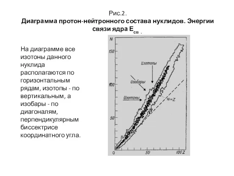 Рис.2. Диаграмма протон-нейтронного состава нуклидов. Энергии связи ядра Есв .